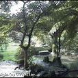 前山公園(中正公園) 前山公園(中正公園)