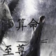 算命至尊(網路小說)