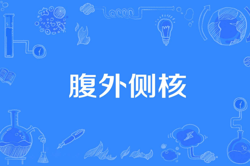 腹外側核 腹外側核