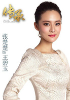 傳承(2014年楊玄導演電視劇)
