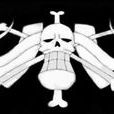 百獸海賊團 百獸海賊團