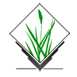 GRASS GIS GRASS GIS