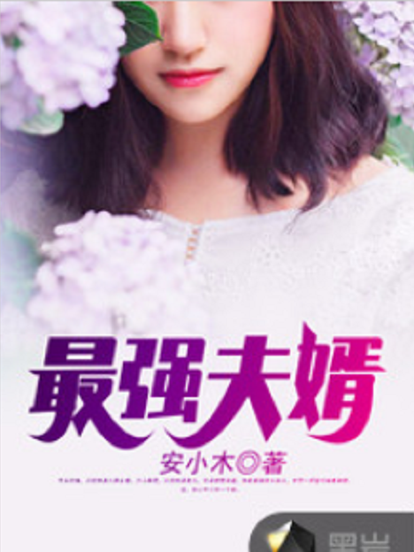 最強夫婿 最強夫婿