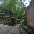 皇茶園 皇茶園