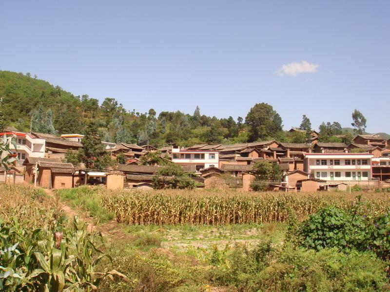 楊大村(雲南省姚安縣前場鎮轄村) 楊大村(雲南省姚安縣前場鎮轄村)