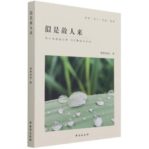 似是故人來(2021年台海出版社出版的圖書) 似是故人來(2021年台海出版社出版的圖書)