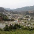 兩磜村 兩磜村