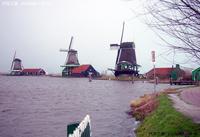 鹿特丹風車群