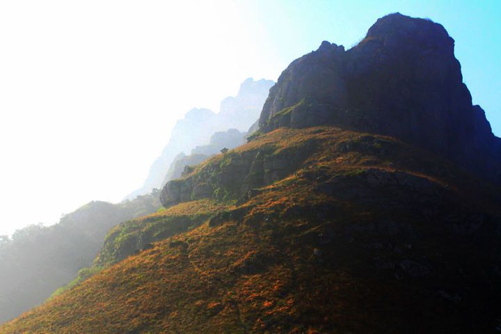 林寺山 林寺山