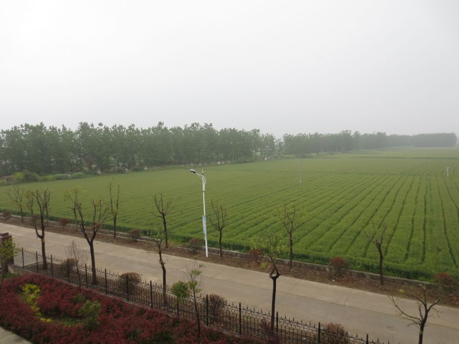 香木蘭村 香木蘭村