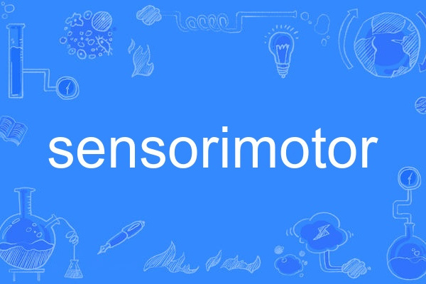 sensorimotor sensorimotor