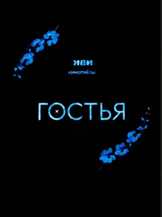 訪客(2025年Ivan Petukhov執導的電視劇) 訪客(2025年Ivan Petukhov執導的電視劇)