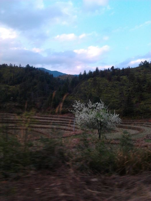 佑頭村 佑頭村