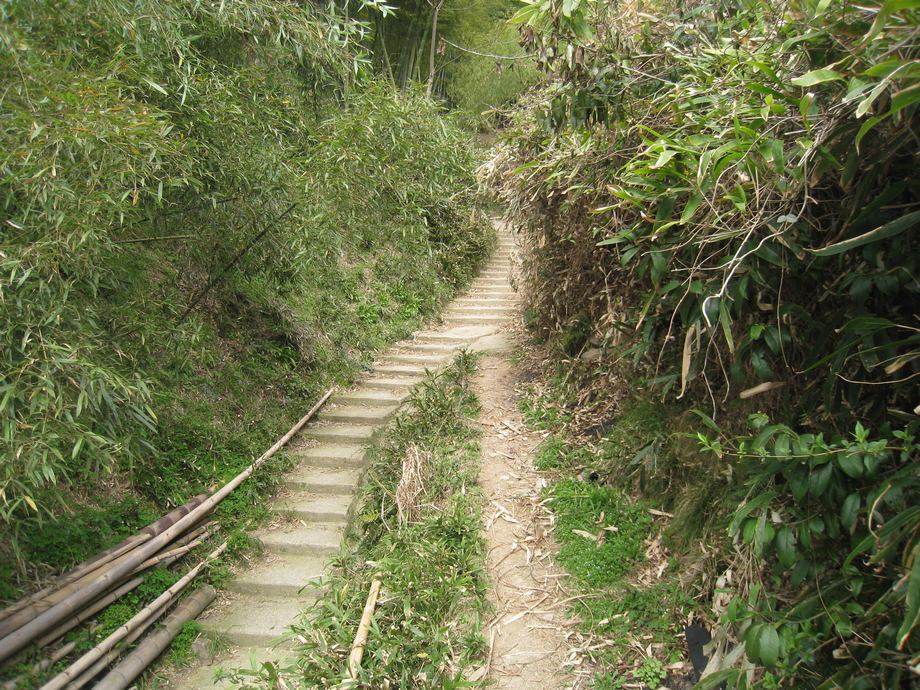 華蓋山山道 華蓋山山道