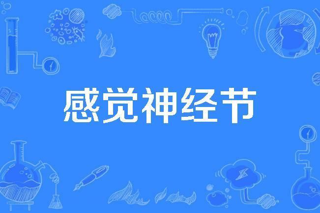 感覺神經節 感覺神經節