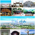 岐山縣(岐山（陝西省岐山縣）)
