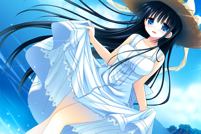 夏雪~summer snow~(初版2011年發行的遊戲) 夏雪~summer snow~(初版2011年發行的遊戲)