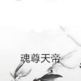 魂尊天帝 魂尊天帝