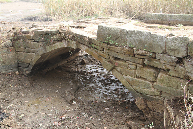 藏龍橋 藏龍橋