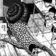 蝸牛人 蝸牛人