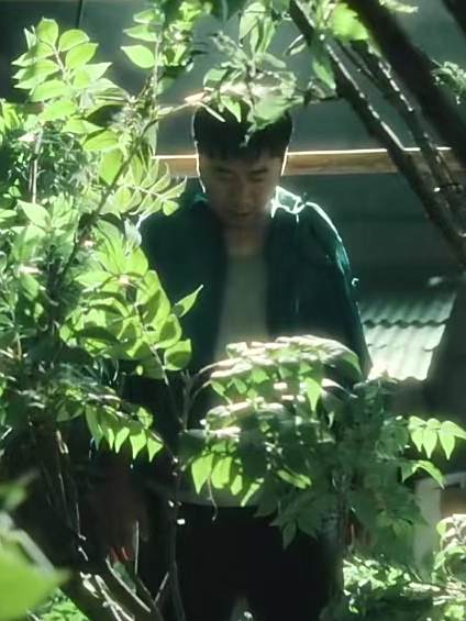 寧德富