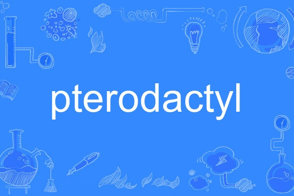 pterodactyl pterodactyl