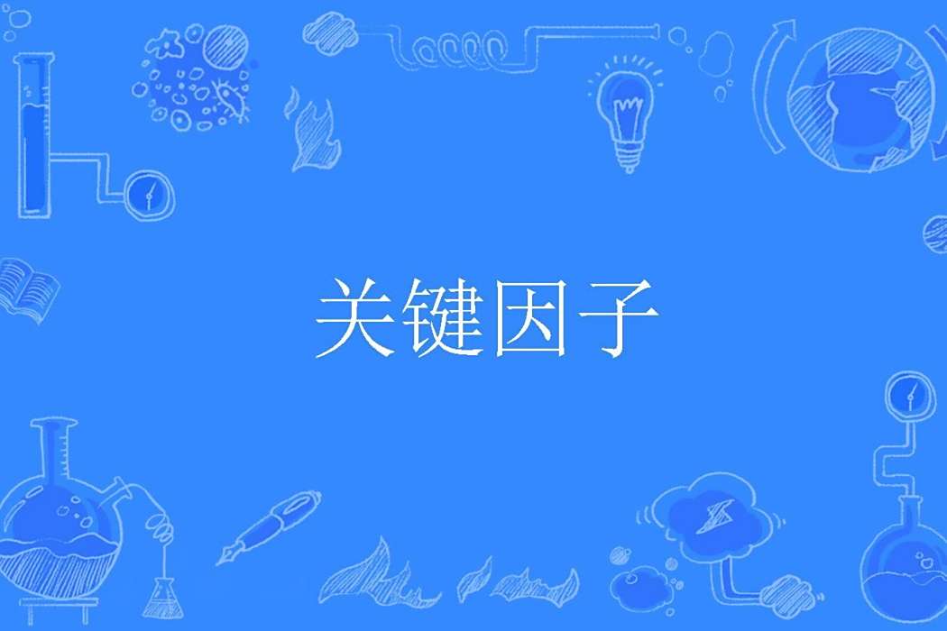 關鍵因子 關鍵因子