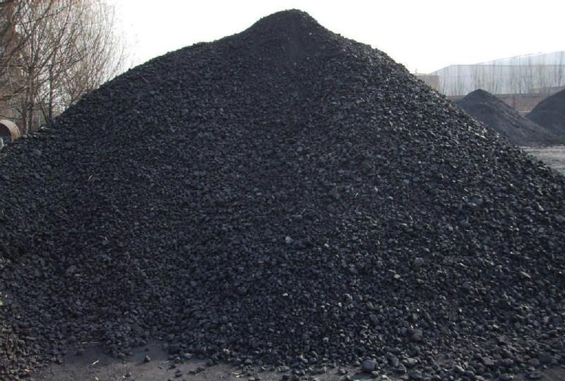 煤層煤樣