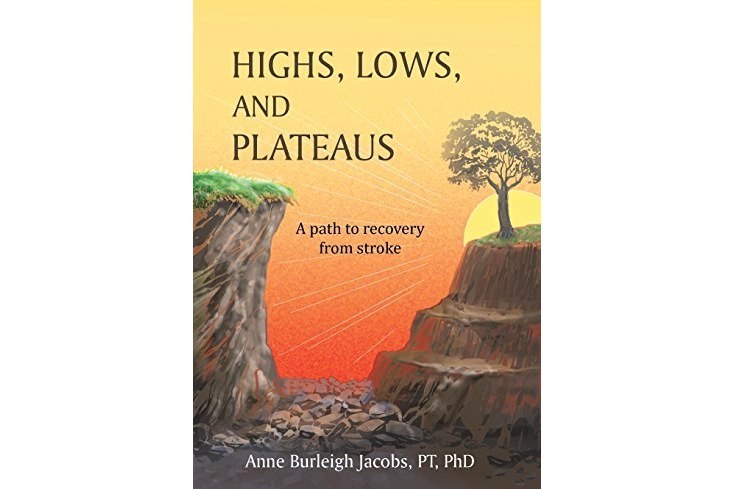 Highs, Lows, and Plateaus: A Path to Recovery from Stroke