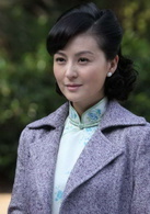 長沙保衛戰(長沙會戰（2013年張豐毅主演電視劇）)