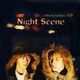 夜景(2005年崔子恩導演中國大陸電影) 夜景(2005年崔子恩導演中國大陸電影)
