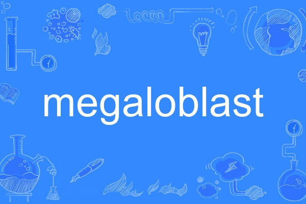 megaloblast megaloblast