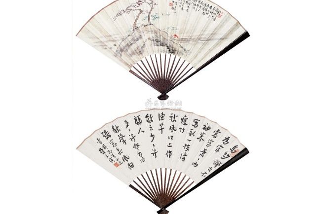 翠竹神芝 翠竹神芝