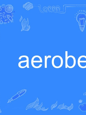 aerobe aerobe