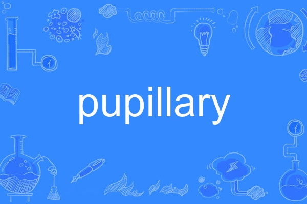pupillary pupillary