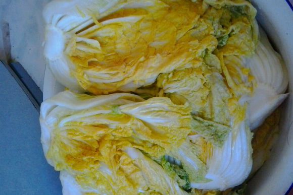 泡白菜 泡白菜