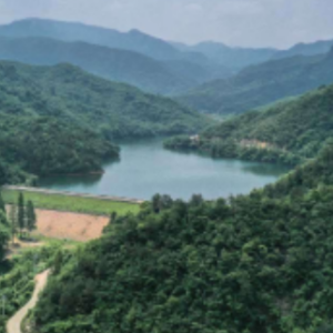 青棚水庫 青棚水庫