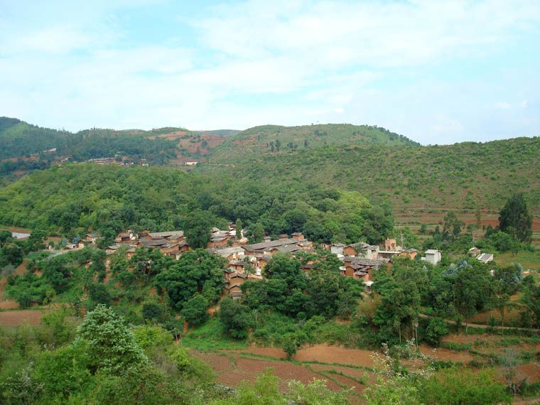 綠林莊村 綠林莊村