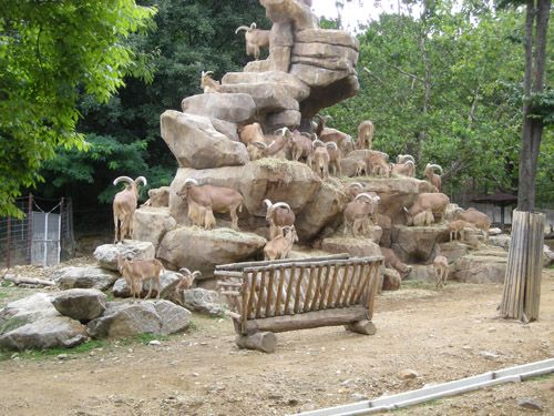 首爾動物園