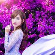 金莎 金莎
