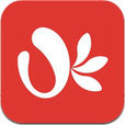 OK支付 OK支付