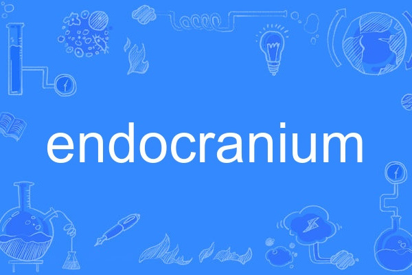 endocranium endocranium