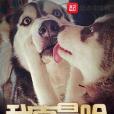 我真是二哈 我真是二哈