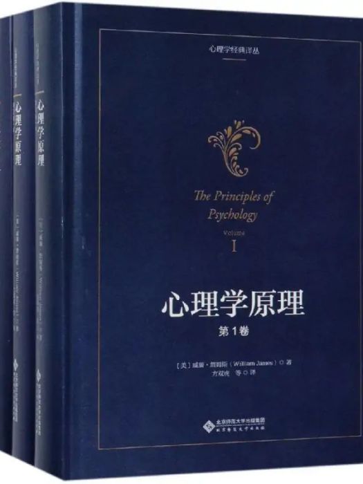 心理學原理(2019年北京師範大學出版社出版的圖書) 心理學原理(2019年北京師範大學出版社出版的圖書)