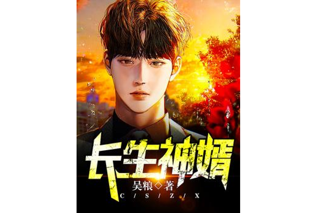 長生神婿(吳糧所著小說) 長生神婿(吳糧所著小說)