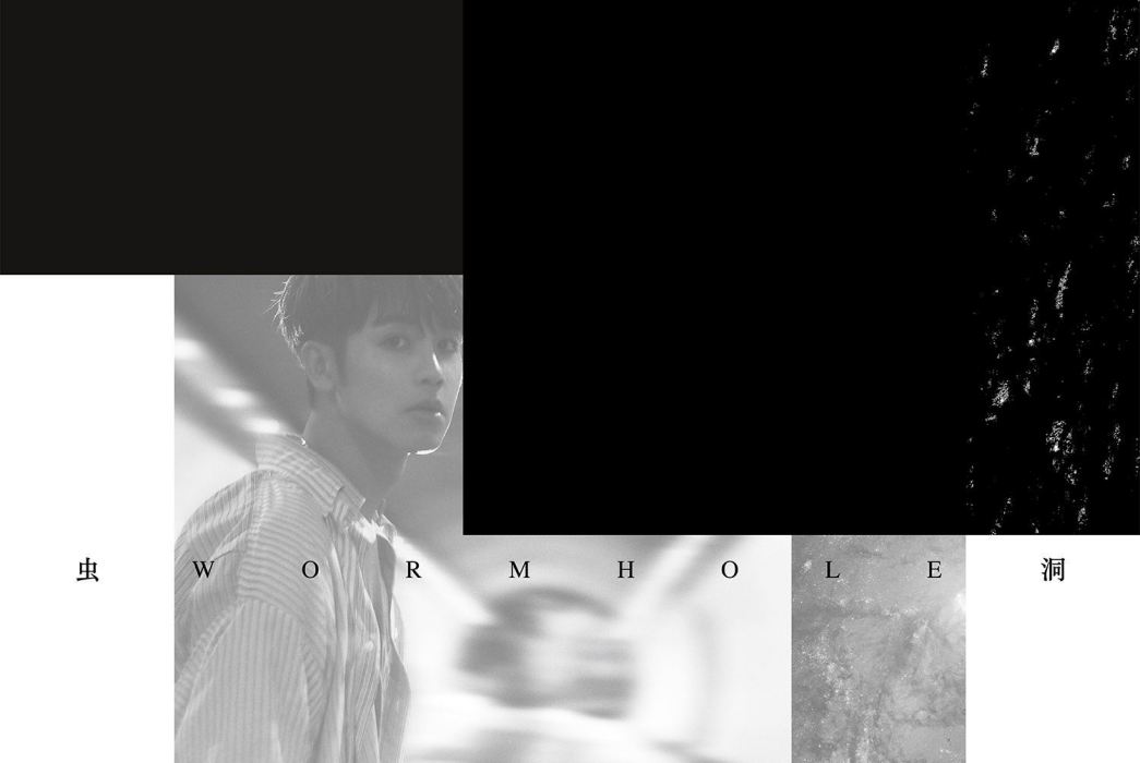 蟲洞(2019年鼓鼓發行的音樂專輯)