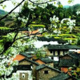 高田坑村 高田坑村