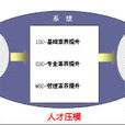 人才壓模 人才壓模