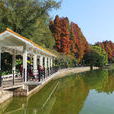 麓湖公園 麓湖公園