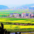 湯堰村 湯堰村